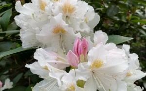 image012.jpg