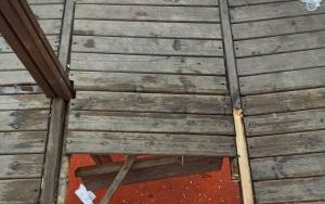 IMG_20200605_073811.jpg