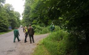 IMG_20200616_082452.jpg