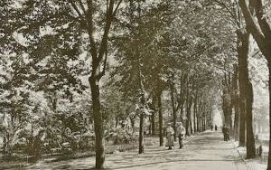 park4.jpg