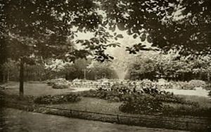 park1.jpg