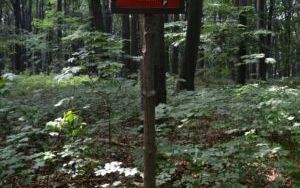 DSC_0505.JPG