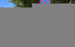 IMG_20200731_114356.jpg