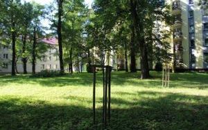 IMG_1116.JPG