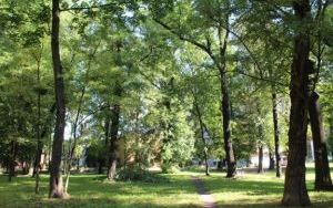 IMG_1120.JPG