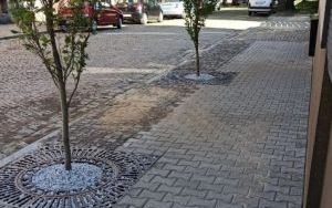 Ściegiennego.jpg