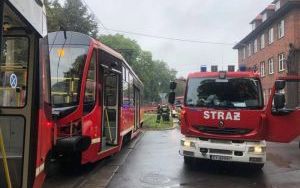 tramwaj trzy.jpg