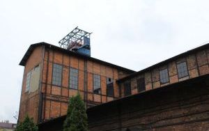 IMG_1206.JPG