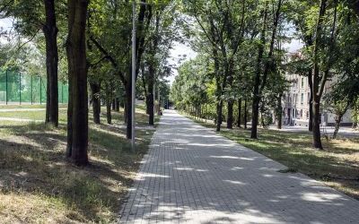 Rozbark (4)