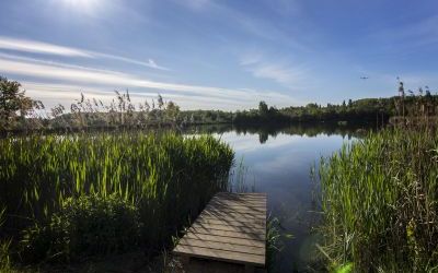 Żabie Doły (4)