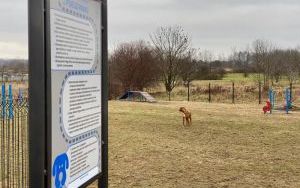 Pierwsza inwestycja 6 dla Stroszka - wybieg dla psów (5)