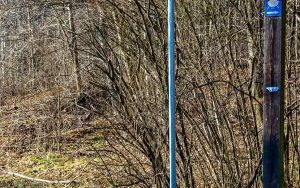 Oznakowane trasy rowerowe w Rezerwacie Segiet (1)