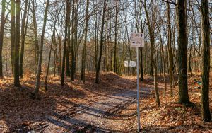 Oznakowane trasy rowerowe w Rezerwacie Segiet (2)