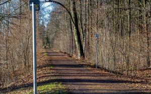 Oznakowane trasy rowerowe w Rezerwacie Segiet (6)