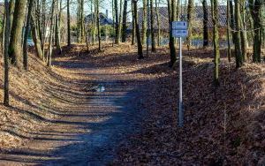 Oznakowane trasy rowerowe w Rezerwacie Segiet (9)
