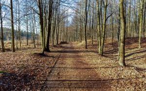 Oznakowane trasy rowerowe w Rezerwacie Segiet (11)