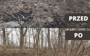 Kolejne dzikie wysypiska zlikwidowane (3)