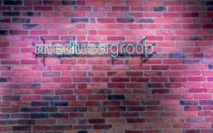 Pracownia architektoniczna Medusa Group (9)
