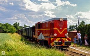 Majówka z koleją wąskotorową (2)