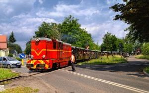 Majówka z koleją wąskotorową (4)