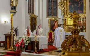 Mija 100 lat od wybuchu III Powstania Śląskiego (5)