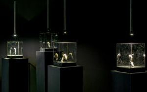 Wystawa (4)