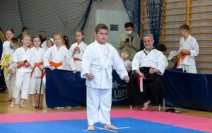 Silesia Cup w Hali na Skarpie (6)