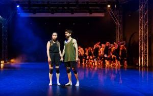 Flying Fish - najnowsza premiera Wydziału Teatru Tańca w Bytomiu (6)