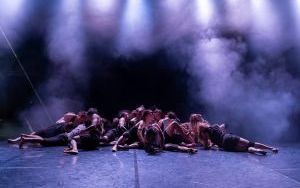Flying Fish - najnowsza premiera Wydziału Teatru Tańca w Bytomiu na deskach Teatru Rozbark (6)