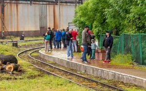 Wąskotorówka (1)