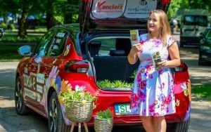 Bytomski kwietnik w Parku Kachla (1)
