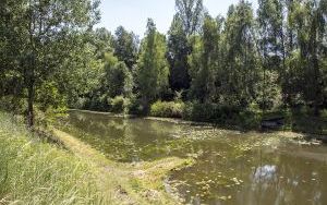 Zdjęcia ze sprzątania wokół stawu Malek (5)