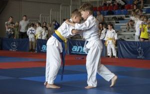 Zdjęcia z turnieju International Judo League (7)