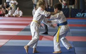 Zdjęcia z turnieju International Judo League (11)