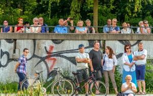 Nad pięknym modrym Dunajem - Letnie Parkogranie (3)