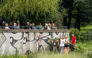 Letnie Parkogranie w Parku Miejskim (8)