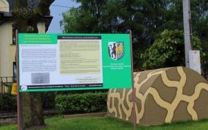 Kolejne atrakcje w ProFort Centrum. Będzie coś dla fanów Gwiezdnych Wojen i PRL-u (3)