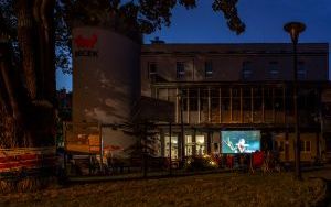 Zdjęcia zseansu kina plenerowego (7)