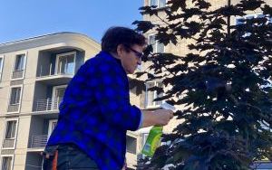  Ekipy zieleniarskie zadbały o drzewa na bytomskim Rynku (2)