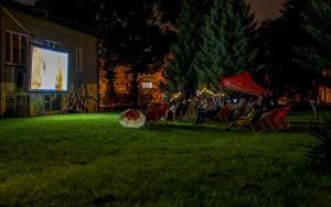 Zdjęcia z seansu kina plenerowego (3)