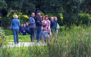 Koncert Lorien Trio w Parku Miejskim (11)