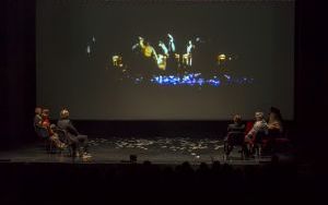 Pierwszy skład Śląskiego Teatru Tańca na scenie (14)