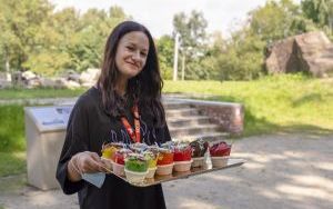 Trwają Dni Otwarte Pałacu w Bytomiu-Miechowicach. Piękna pogoda zachęca do odwiedzin w Parku Ludowym, gdzie mieszkańcy naszego miasta mogą zobaczyć odbudowane pozostałości pałacu Tiele-Wincklerów, liczne spektakle, posłuchać koncertów oraz wykładów (1)