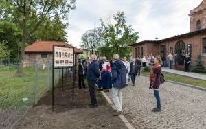 Rozbarczanie na Starej Fotografii (3)