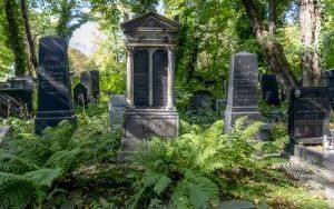 Spacer śladem bytomskich Żydów (8)