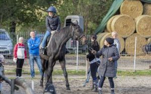 Wspomnienie lata… (6)