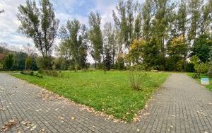 Skwer w Parku Amendy w Łagiewnikach (2)