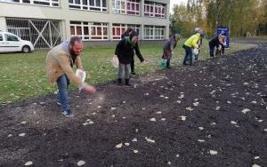 Łąki kwietne (8)