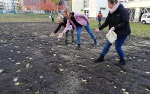 Łąki kwietne (9)