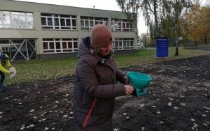 Łąki kwietne (10)